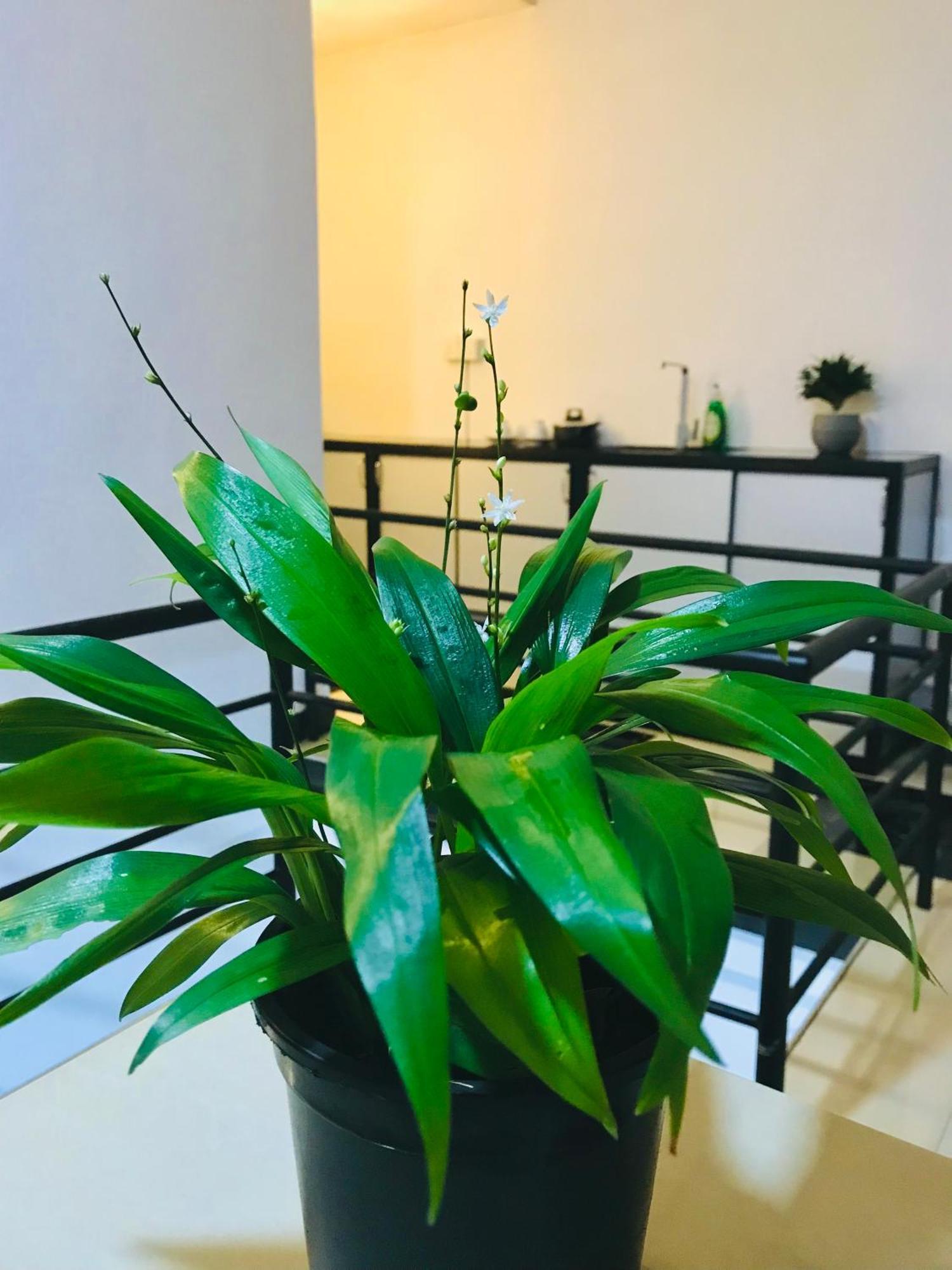 Summer House Мириса Екстериор снимка